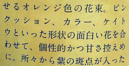 日語翻譯公司