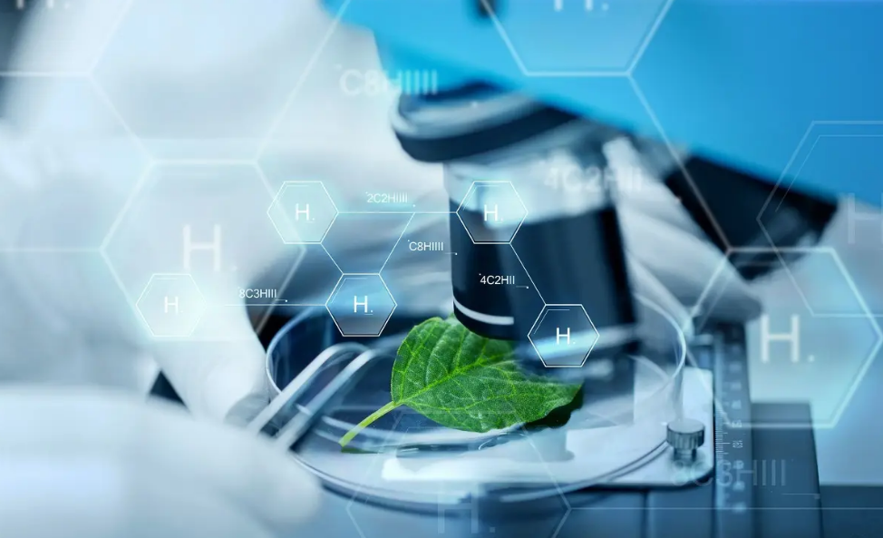 翻譯公司對生物醫學領域翻譯介紹